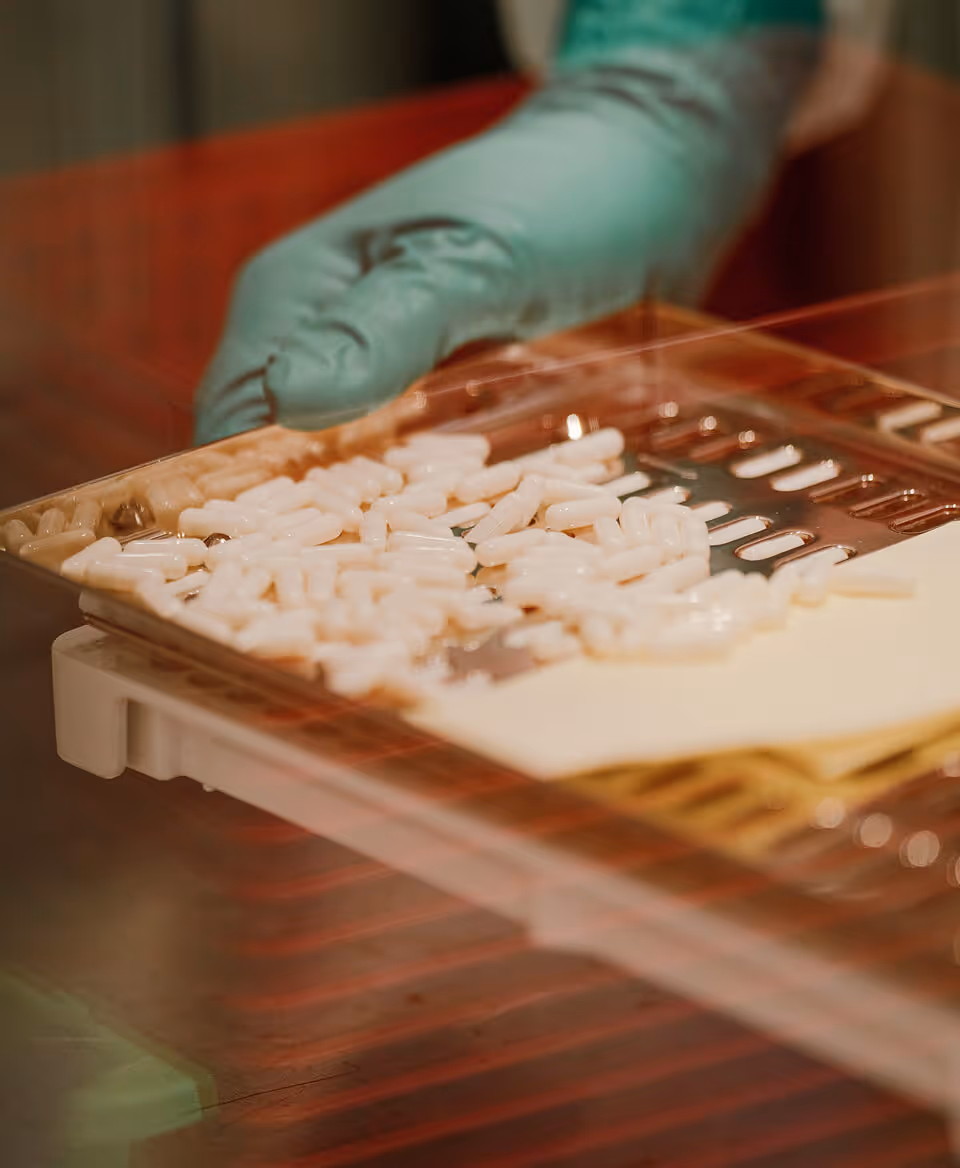 Gloved hand filling a capsule tray during compounding.